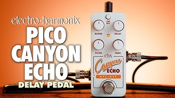 Electro-Harmonix PICO CANYON ECHO digitale delay (EHX demo door BILL RUPPERT)