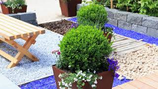 21 Boxwood Landscaping Ideas