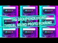 Tha Group Endeavors TVisual Sound Vibe Promo Running...