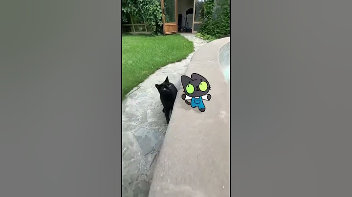 Benji met Benji?! 🐈‍⬛ #Simba #Simbochka #benji