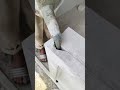 construction Cement fill up #asmr #woodworking #cementart #diyideas #building #satisfying #cement