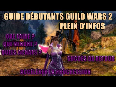 GUIDE et conseils pour débuter sur Guild Wars 2 en 2022 : Succès de retour, gagner des PO, se stuff