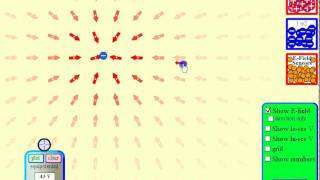 Using the Electric Field Simulator