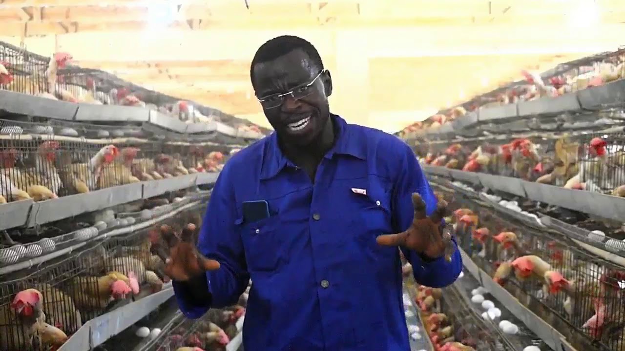 MILLIONAIRE PROFITABLE POULTRY FARM STARTING TIPS