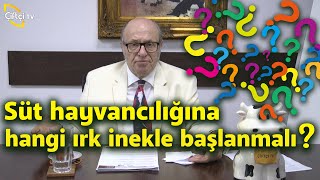 "Tuz ve Su Vererek İshal Hayvanlarınızı Kurtarın"- Dersimiz Hayvancılık