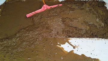 Sewer Overflow - The Ultimate Satisfying Carpet Cleaning Videos - Carpet Cleaning ASMR