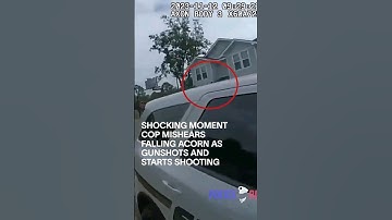 Shocking Moment Cop Mishears Falling Acorn As Gunshots and Starts Shooting #shorts