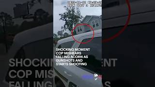 Shocking Moment Cop Mishears Falling Acorn As Gunshots And Starts Shooting #Shorts