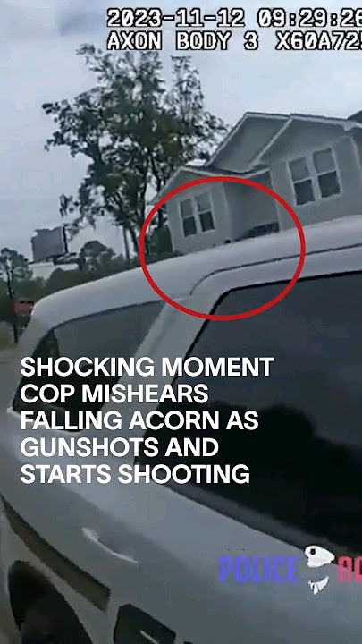 Shocking Moment Cop Mishears Falling Acorn As Gunshots and Starts Shooting #shorts