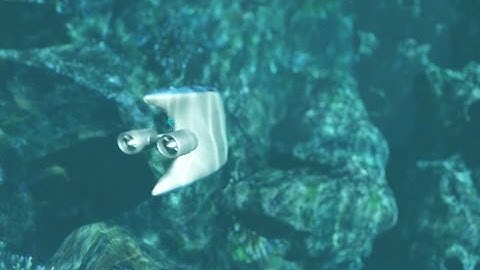Monitoring of Coral Reefs using Low Cost Autonomous Underwater Robots