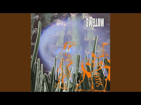 Swellow — Serangga
