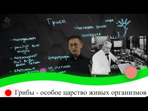 Грибы - особое царство живых организмов. 8 класс.