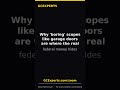 Why 'boring' scopes like garage doors are where the real federal money hides #Shorts