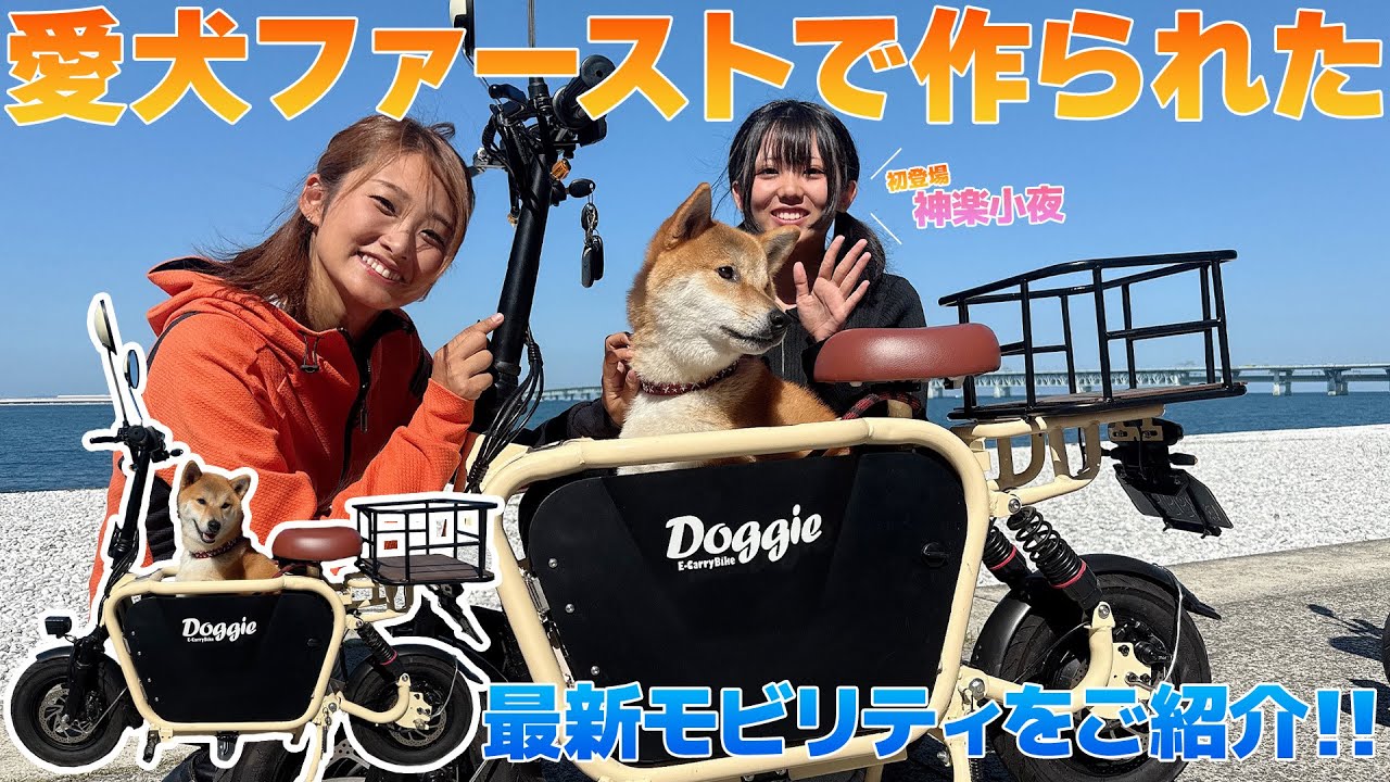 車で運べて愛犬と一緒にツーリングもできる最新モビリティ「Doggie」柴犬まで乗せれます！Doggie: New Mobility You Can Drive & Tour with Your Dog