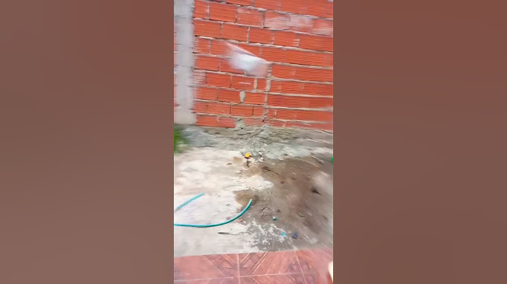 ya me hice famosa Porque hice una estupidez