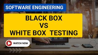 Black Box Testing vs White Box: The Real Difference