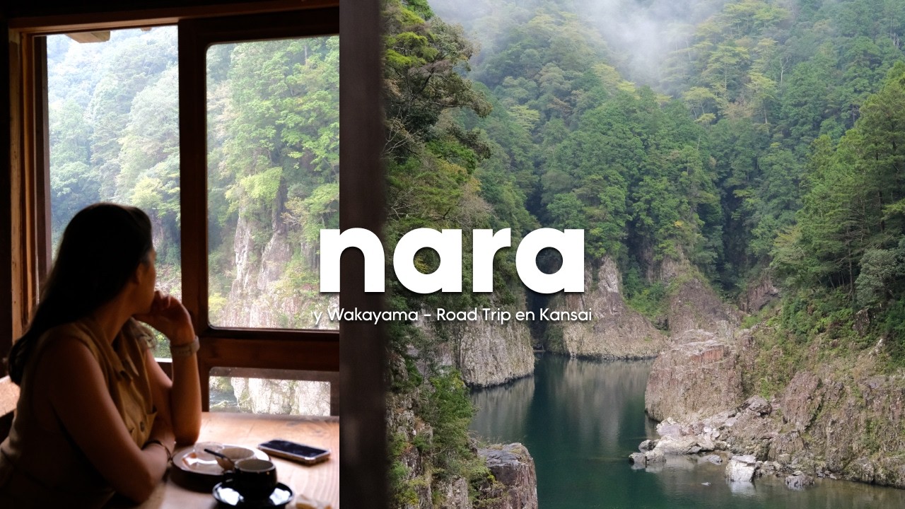 NARA, mucho más que ciervos - WAKAYAMA Y NARA - Ruta por Japón 20 días Parte 1