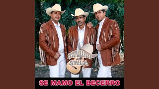 Viviendo Enamorado