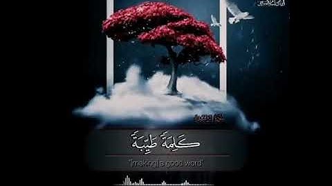اسلام صبحي تلاوة خاشعة | ألم تر كيف ضرب الله مثلآ كلمة طيبة كشجرة طيبة