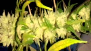 video-2011-04-25-18-30-17.mp4