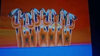 Waabanaki  The Dawn Land Waabanakiig  The Wabanaki Confederacy Abenaki Persons