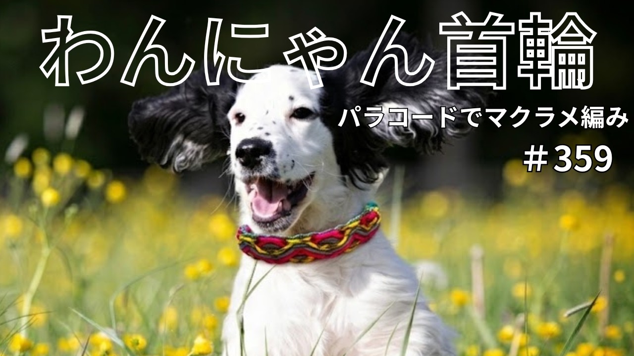 Paracord Dog & Cat Collar]#359 How to Make a Collar for Small Dogs