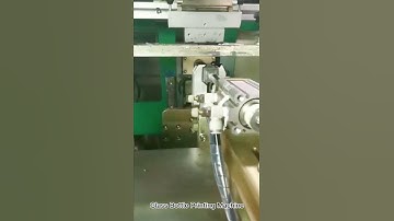 DM-200 Full automatic screen printing machine, print speed 30-45 pcs/mins, with positioning visual