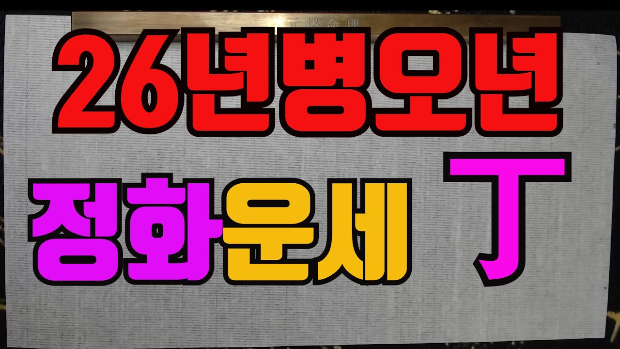 병오년정화일간운세