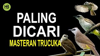 Download Lagu 3 Masteran Paling Mantab Untuk Isian Trucukan MP3