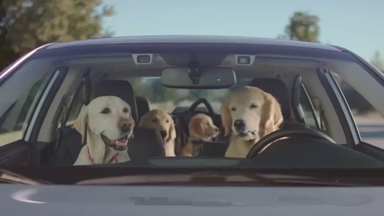 Christmas Car Commercial 2022 Dog Waiting For Owner Voice Command Dogs - Subaru Big Game Commercial 2016 - Youtube