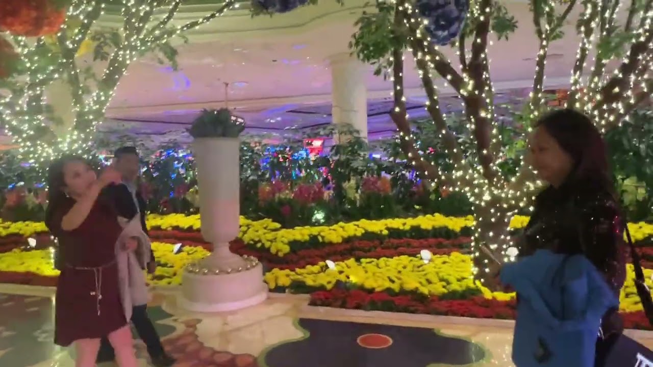 23 hours in Las Vegas 