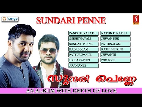 Sundari Penne | Romantic Album Songs | Saleem Kodathur | Shafi Kollam | Latest Upload