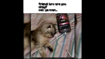 L6A - high enough snippet