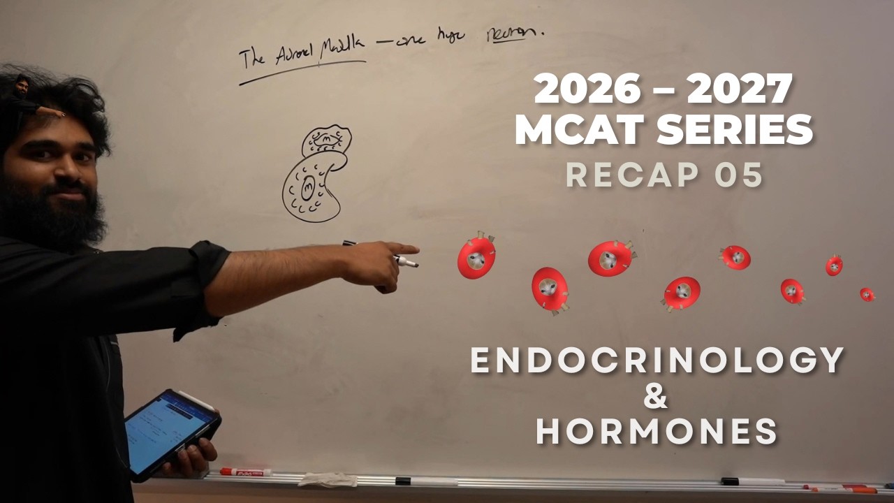 2026-2027 MCAT Series- Recap 05: Endocrinology & Hormones