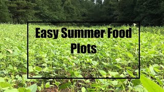 Easiest Summer Food Plots EVER! NO TILL : THROW IT - MOW IT - GROW IT
