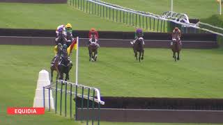 Vidéo de la course PMU PRIX DU CHER