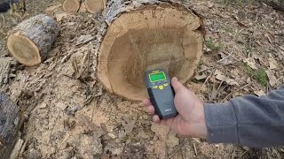 Is a dead standing tree seasoned or dry?
