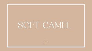 VICTORIAN COLORSCAPE | SOFT CAMEL#d3b69d screenshot 2