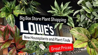 Big Box Store Plant Shopping Searching for New Houseplants at Lowe's Plant Finds Plant Haul