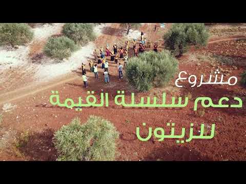 مشروع دعم سلسلة القيمة للزيتون في 10 قرى بمنطقة سلقين في إدلب