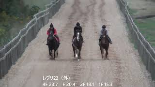 レヴリ23　1021