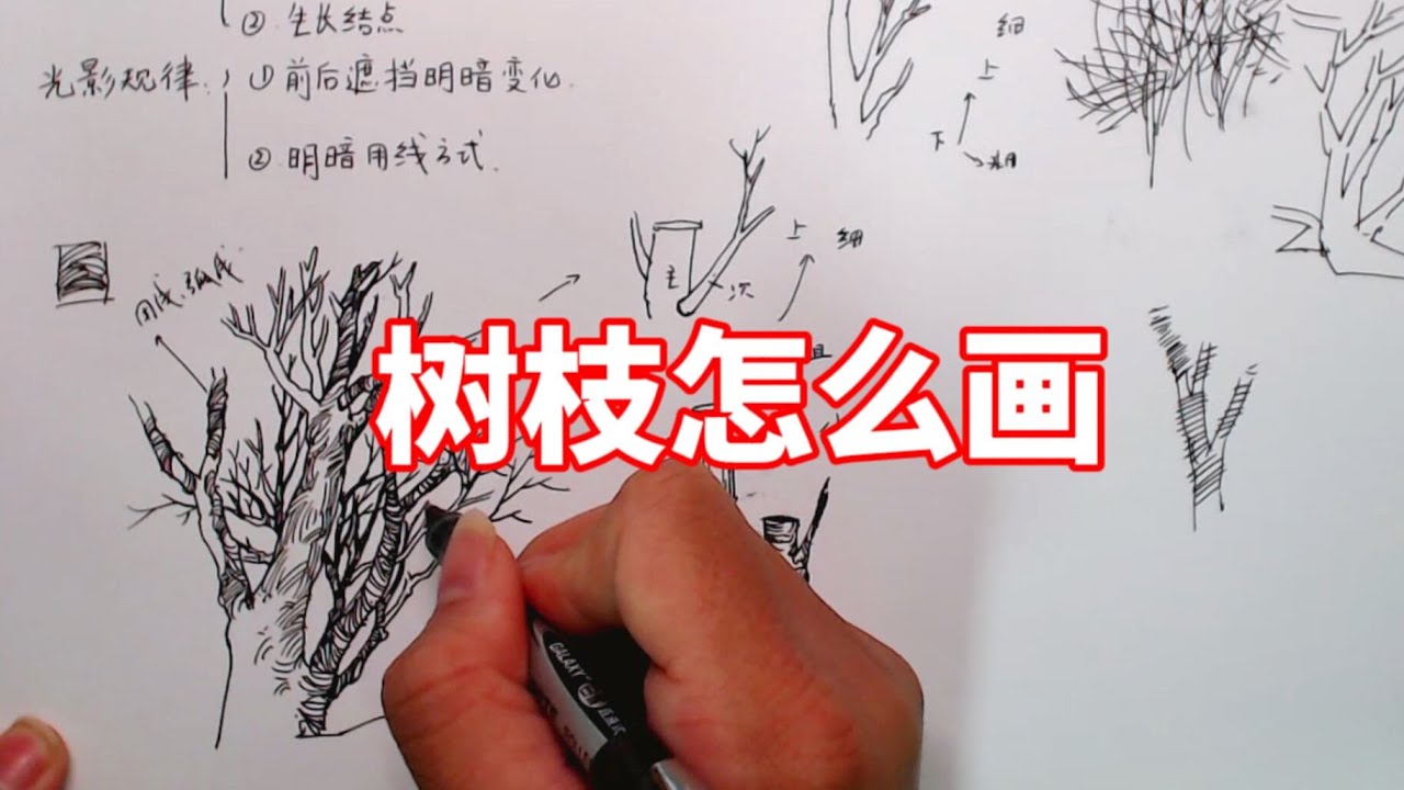 树枝怎么画?钢笔速写教程 - YouTube
