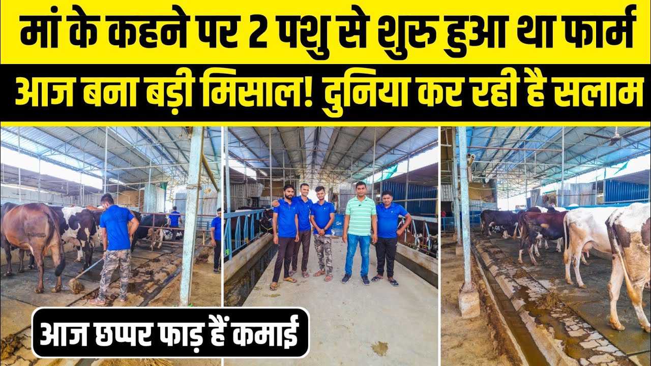 शुरु में हुआ लॉस लेकिन अब कैसे हो रहा मुनाफा/ Dairy farm bihar/Cow farm