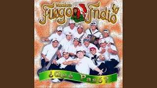 Video thumbnail of "Musicalísimo Fuego Indio - Tu Maestro"