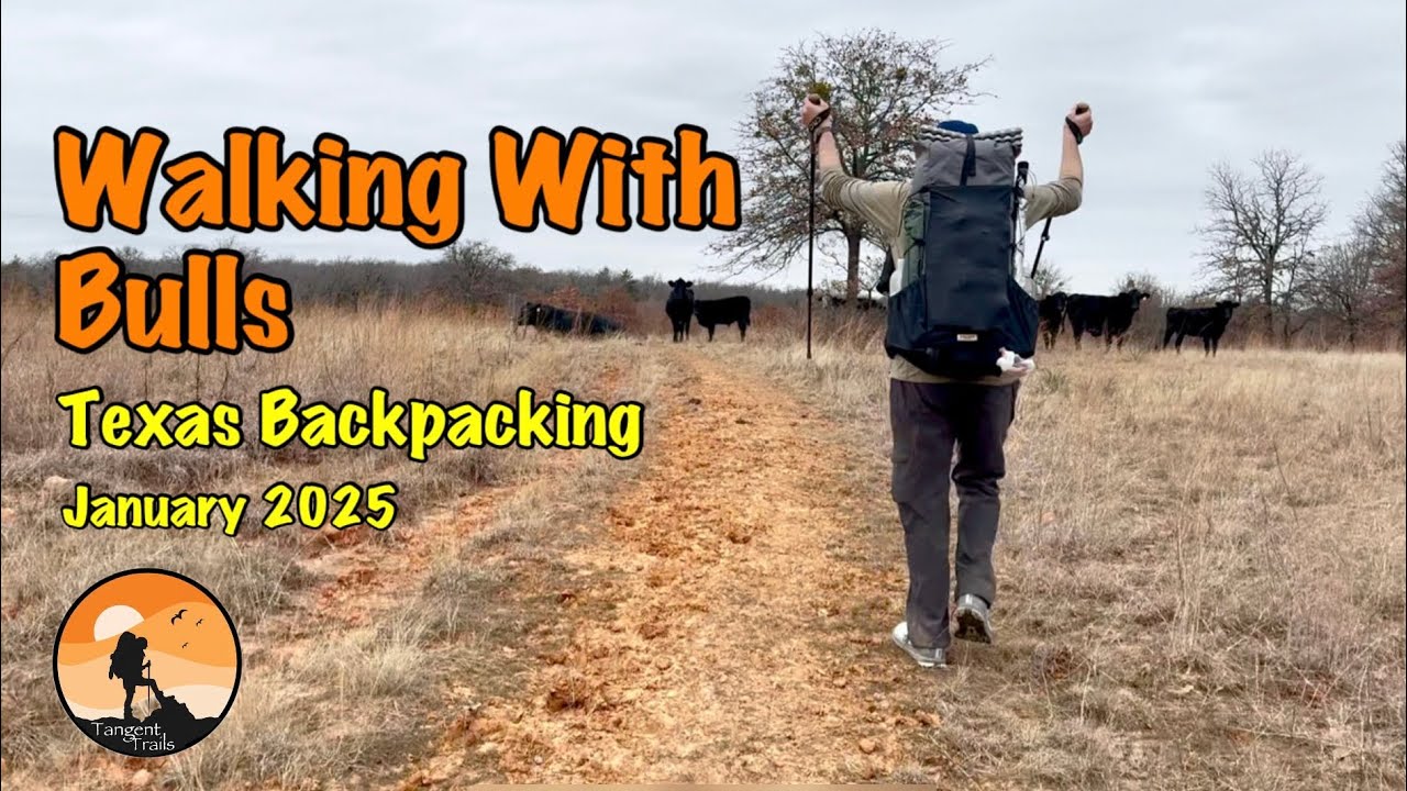 Walking With Bulls | Texas Backpacking