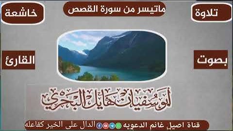 تلاوة خاشعة ماتيسر من سورة القصص بصوت القارئ أبو سفيان هايل البحري