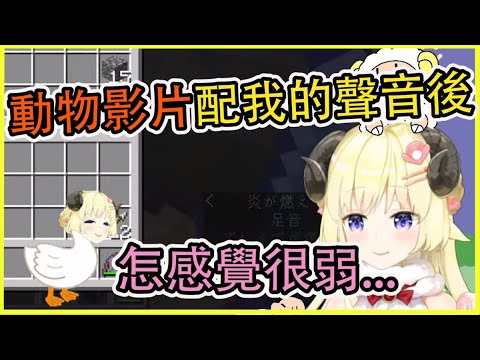 把動物影片配上我的聲音後 怎麼覺得好像很弱....【角巻わため】【角卷綿芽】【Vtuber中文翻譯】
