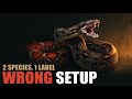 2 Species, 1 Label — Why Most Boa Setups Fail