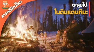 สารคดีเอาชีวิตรอด ตะลุยไปในดินแดนหิมะ l สารคดีเพื่อส่งเสริมการศึกษาเรียนรู้เท่านั้น