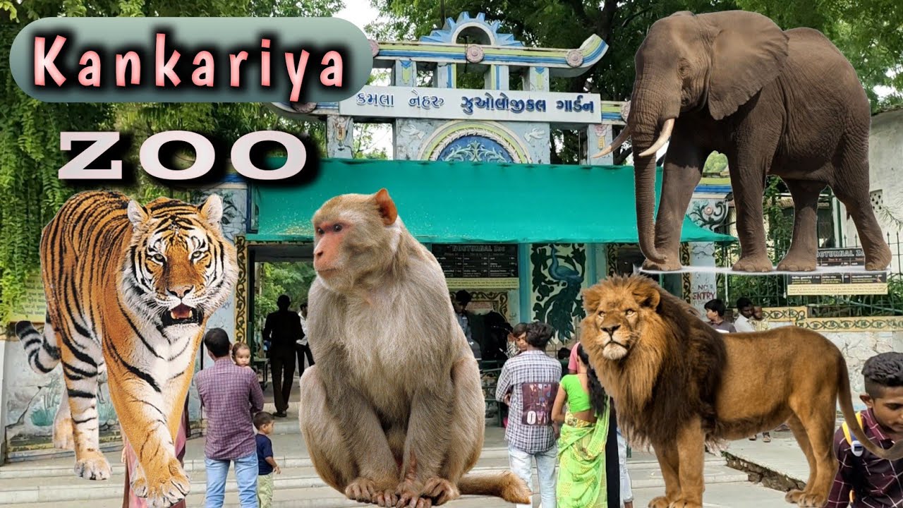 Kankaria zoo Ahmedabad Kankaria Talav Ahemdabad Navaz Sandhi YouTube